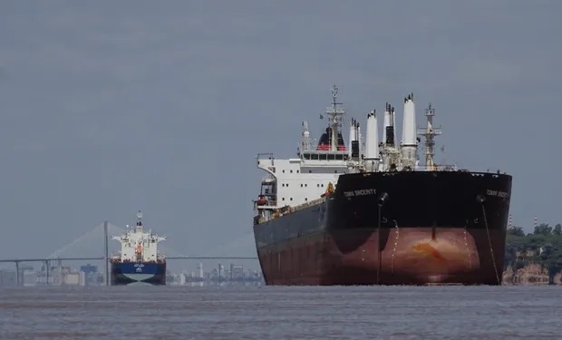 Las exportaciones de trigo están retrasadas y quedan 459 millones de dólares por liquidar