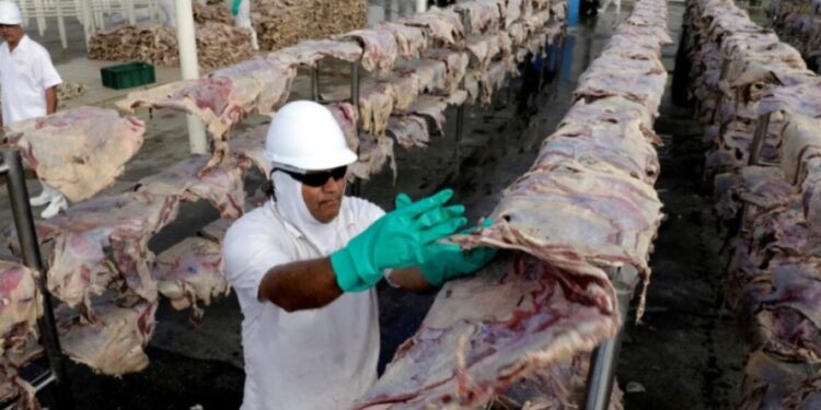 Brasil: todas las carnes quedaron exentas del nuevo impuesto