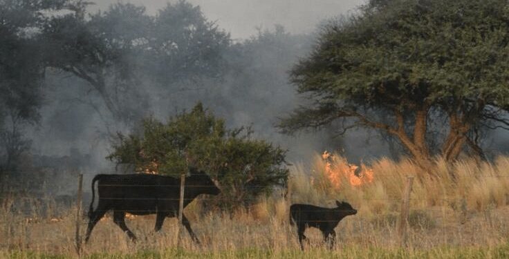 El campo en alerta: se acerca la temporada de incendios