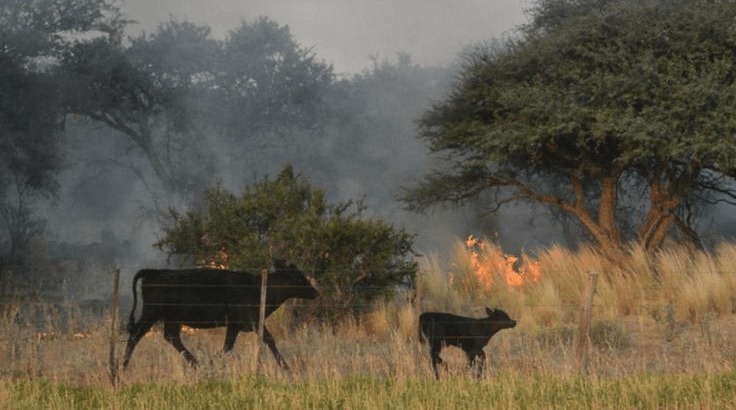 El campo en alerta: se acerca la temporada de incendios