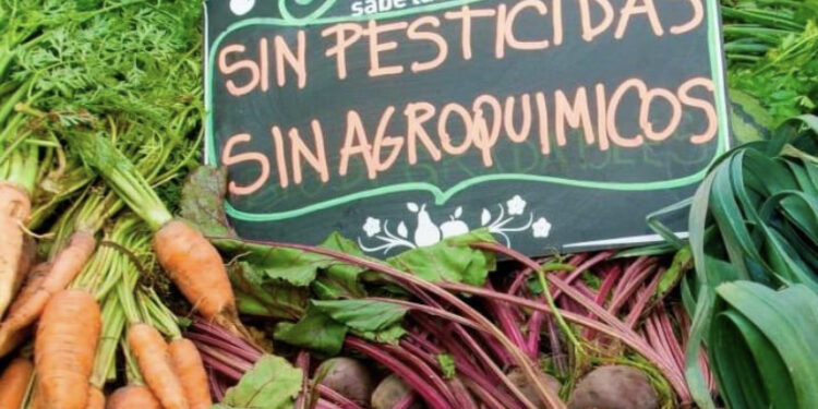 Nodo Agroecológico en Tucumán, el camino hacia un futuro sostenible