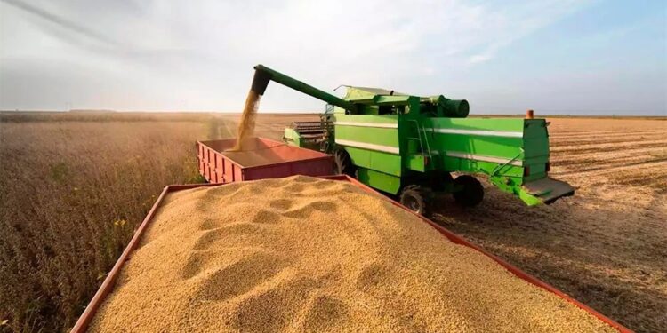 Cae el valor de la soja y complica las reservas