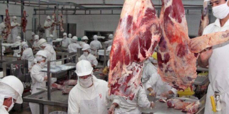 Mercado de la carne: China demanda pero no convalida aumentos