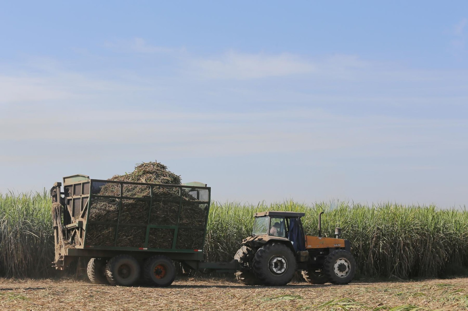 El Impacto de la zafra en Tucumán: Avances y desafíos en la producción de caña