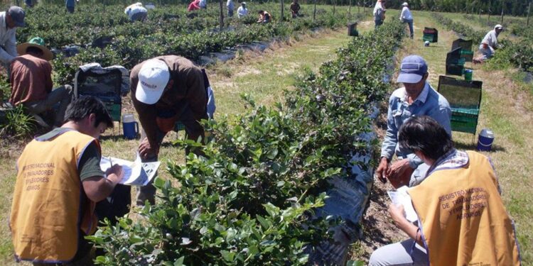 El Gobierno intervino la obra social de la UATRE denunciando incumplimientos