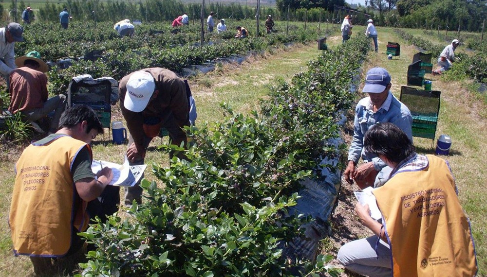 El Gobierno intervino la obra social de la UATRE denunciando incumplimientos
