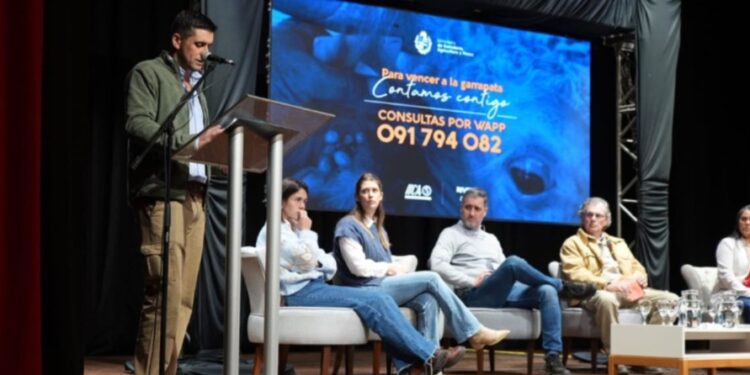 Impactante en Uruguay: las pérdidas por garrapata pueden llegar a USD 60 millones