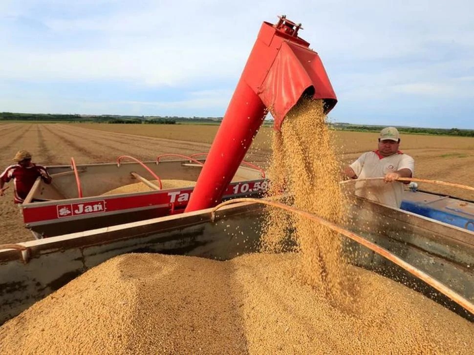 Aumenta la preocupación en torno a la soja