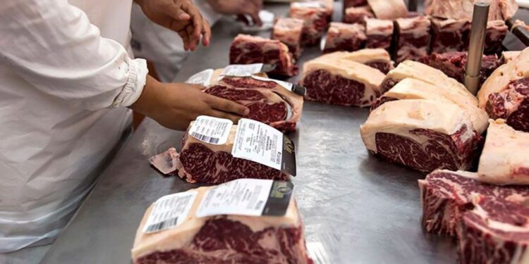 En las cadenas del agro, la carne vacuna se sube al podio más alto generando 12.3% del empleo