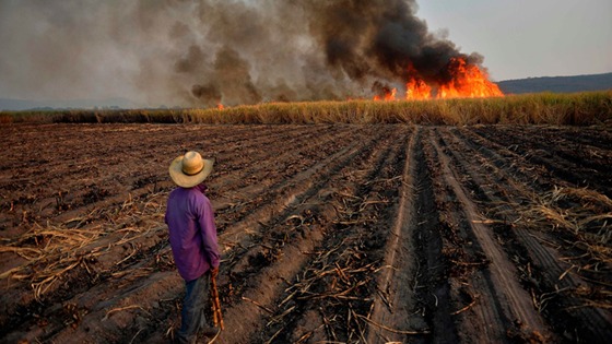El CART solicitó al gobernador que se dicte la emergencia ambiental por la quema de caña