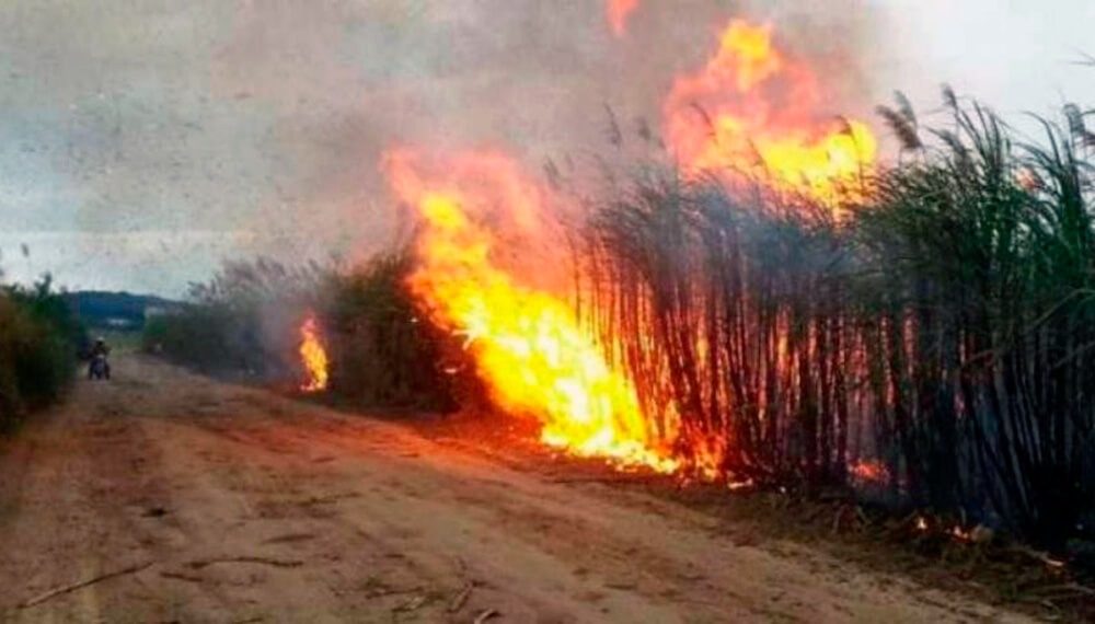 El gobierno de Tucumán le contestó a industriales por la quema de caña