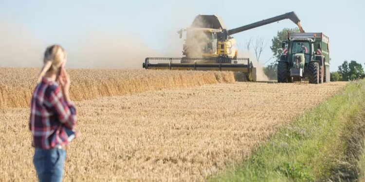 El 12,7% de los trabajadores del campo, son mujeres