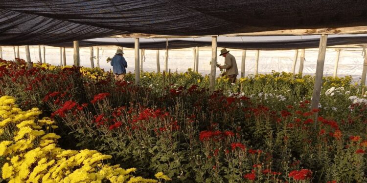 Con financiamiento internacional, impulsan proyectos de agricultura regenerativa en 5 provincias
