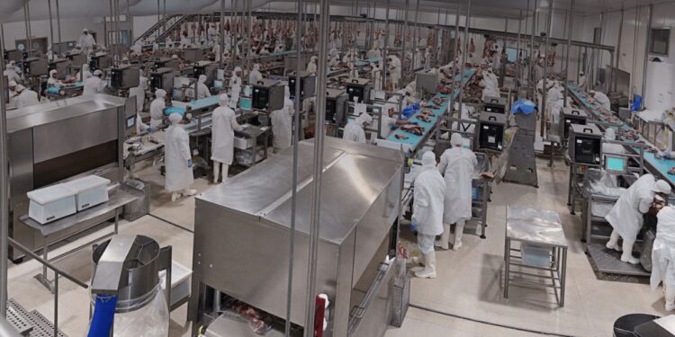 Pese a los menores precios, la carne vacuna argentina consolida su perfil exportador