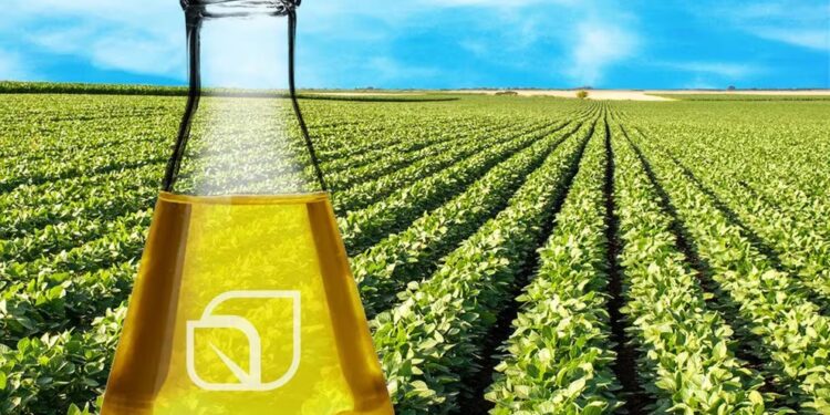 Con una participación del 3,3%, la Argentina es el sexto productor mundial de biodiesel