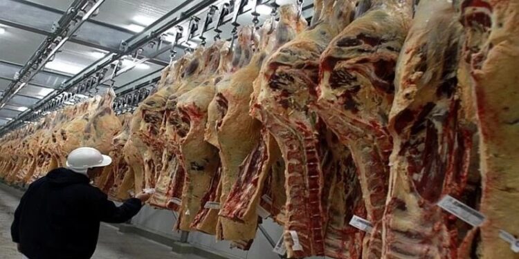 Modifican la norma para llegar al 100% de tipificación en faena