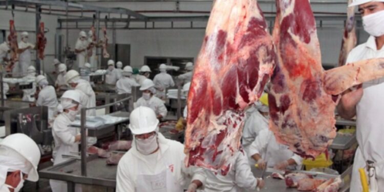 En agosto cayeron las exportaciones de carne en Paraguay