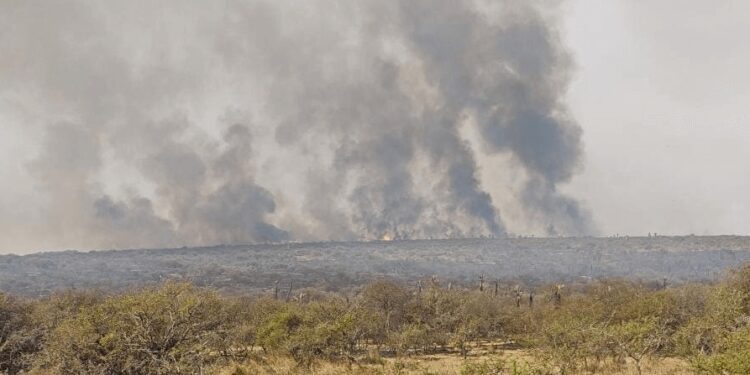 El drama de los incendios se propaga y hay advertencia por humo en 11 provincias