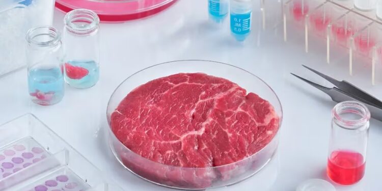 Para producir “carne artificial”, “se requieren cantidades muy importantes de energía fósil”