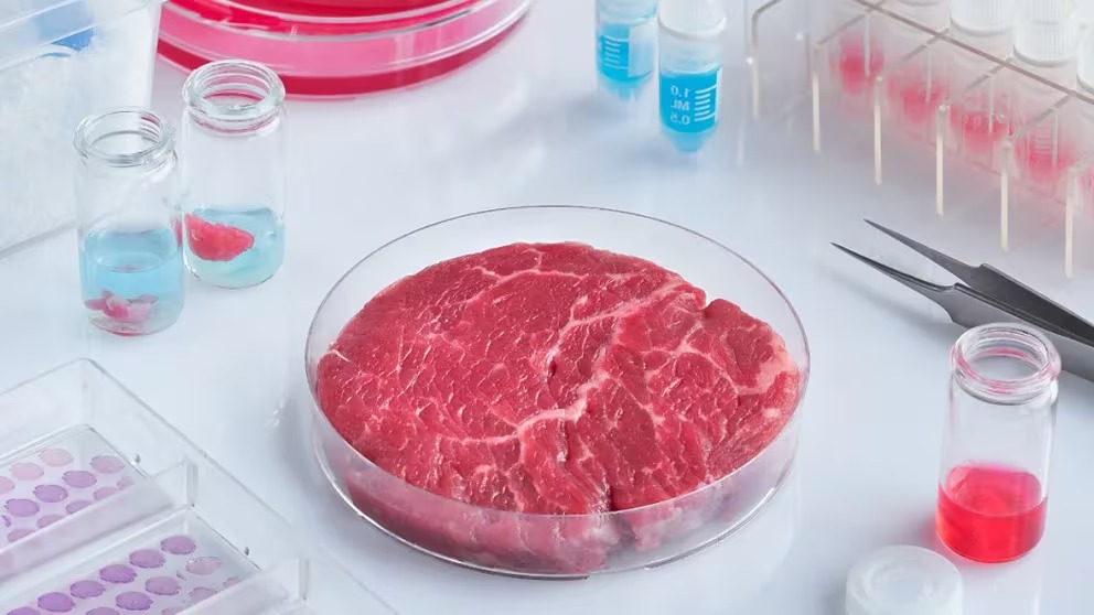 Para producir “carne artificial”, “se requieren cantidades muy importantes de energía fósil”