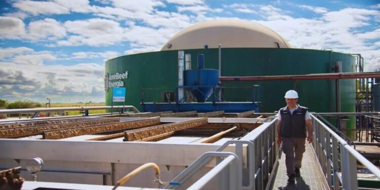 Economía circular: el modelo de un frigorífico que convierte sus desechos en bioenergía y compost