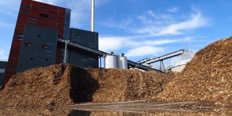 Biomasa: un mercado sin límites
