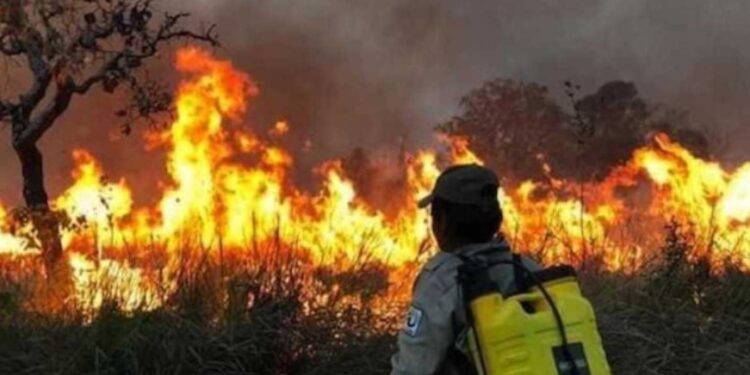 Alerta en Bolivia: incendios forestales afectan a Santa Cruz