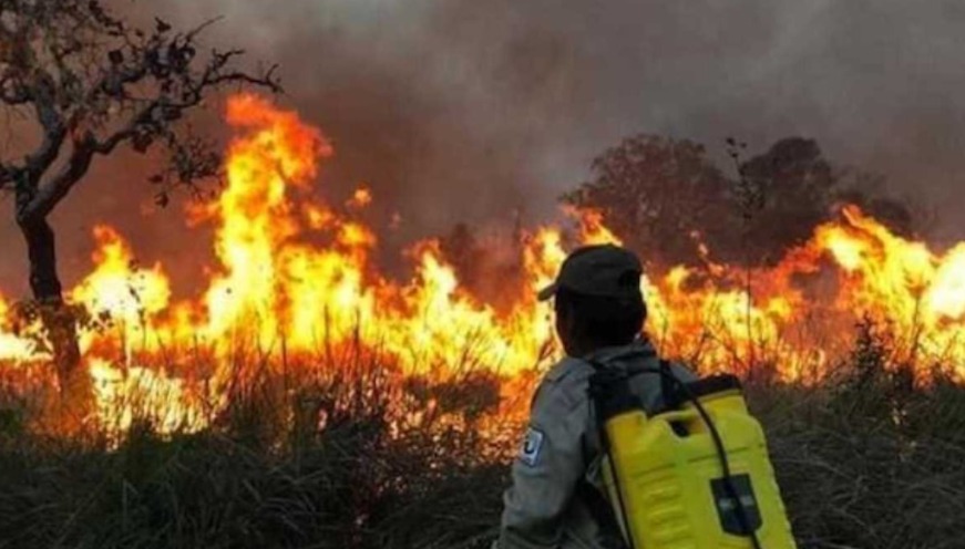Alerta en Bolivia: incendios forestales afectan a Santa Cruz