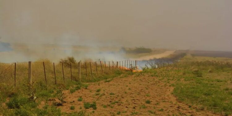 Ante una primavera más cálida que lo normal, el INTA recordó las pautas para prevenir incendios