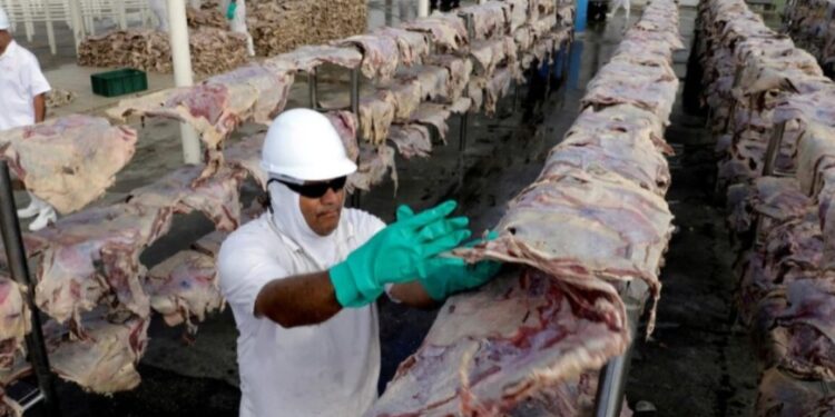 La exigencia de UE de suspender importaciones de carne de Brasil por uso de estradiol impacta en la región