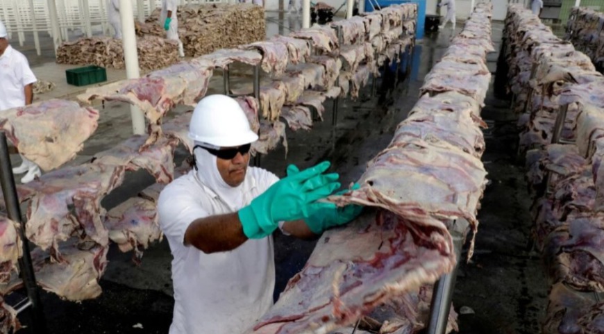 La exigencia de UE de suspender importaciones de carne de Brasil por uso de estradiol impacta en la región