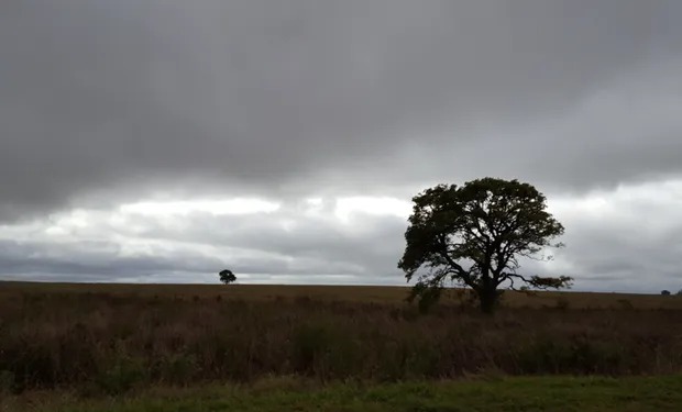 Argentina enfrenta un cambio estructural en el régimen de lluvias: impacto y previsibilidad