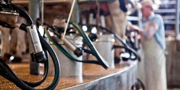 Un aire fresco para los tambos: por primera vez en cinco años, tuvieron más de 5% de rentabilidad
