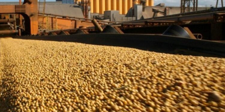 Bumper Crop reclama capitalización para la agricultura en Argentina