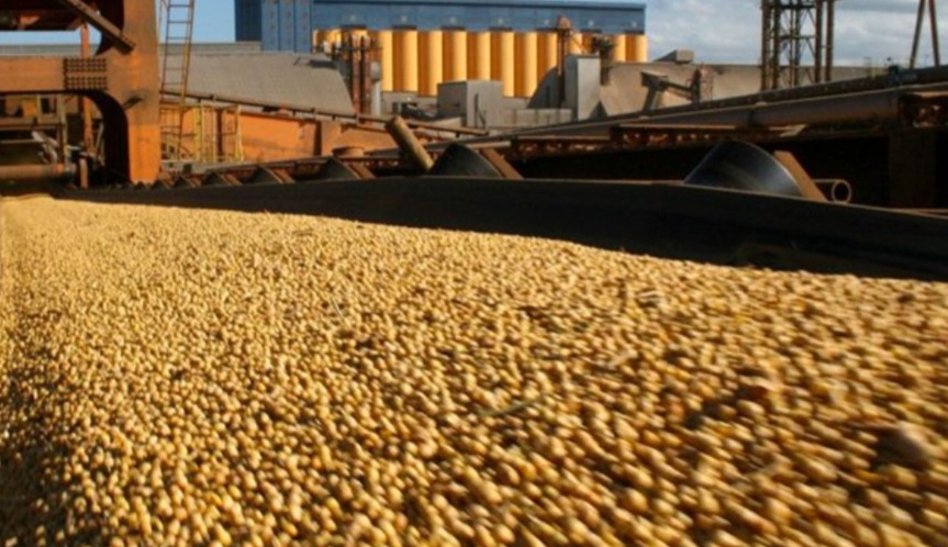 Bumper Crop reclama capitalización para la agricultura en Argentina