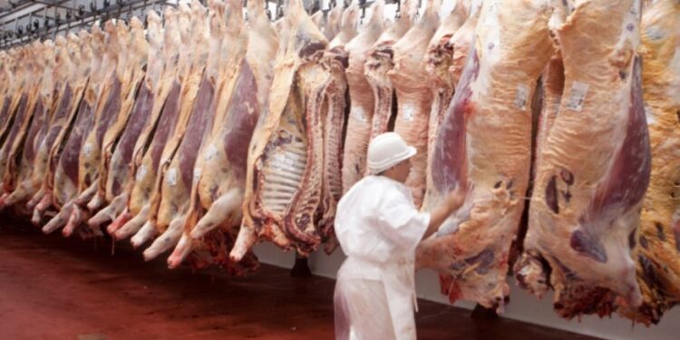 Argentina muy cerca de abrir exportaciones de carne vacuna con Japón y Filipinas