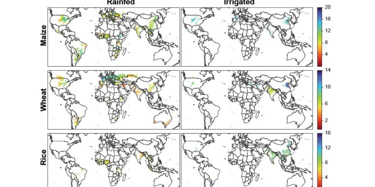 Con inteligencia artificial, científicos argentinos “mapearon” la productividad agrícola de todo el Planeta
