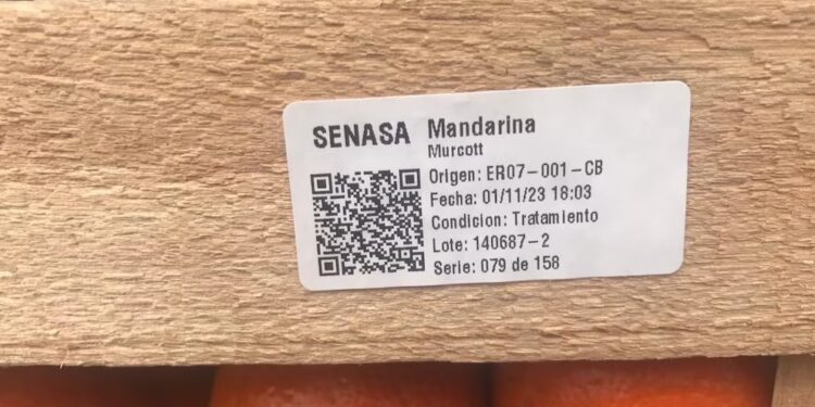 Senasa refuerza la trazabilidad de frutas y hortalizas con nuevas etiquetas