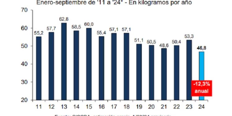 El consumo de carne vacuna cayó al nivel más bajo de los últimos 26 años en Argentina