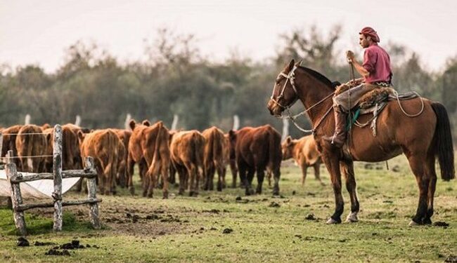 El Renatre anunció un nuevo aumento en las prestaciones por desempleo para trabajadores rurales