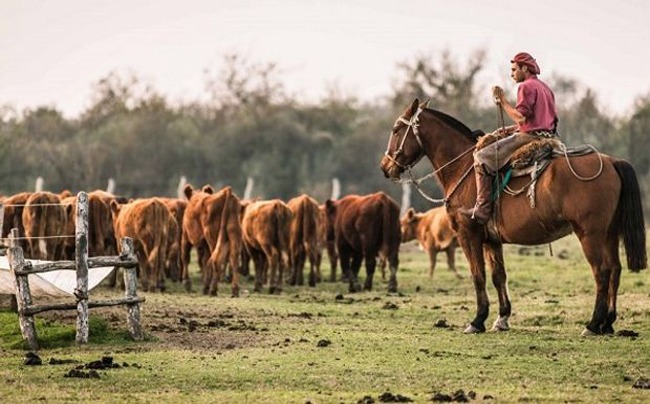 El Renatre anunció un nuevo aumento en las prestaciones por desempleo para trabajadores rurales