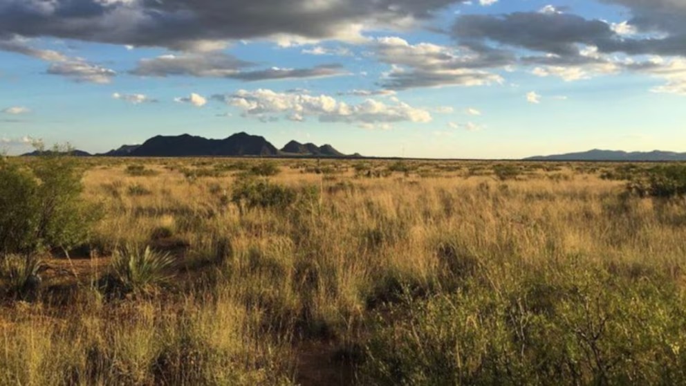 Un estudio inédito evidencia un grave problema de los ecosistemas áridos
