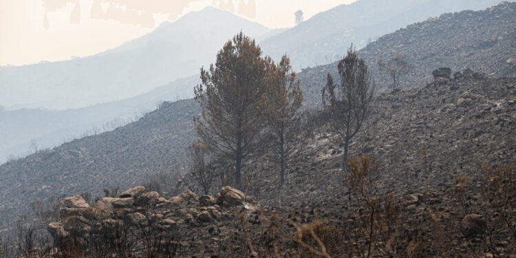 Incendios: desastre agropecuario y emergencia nacional para Córdoba