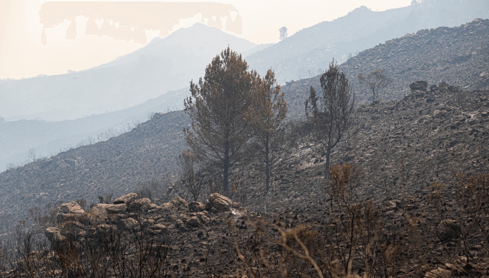 Incendios: desastre agropecuario y emergencia nacional para Córdoba