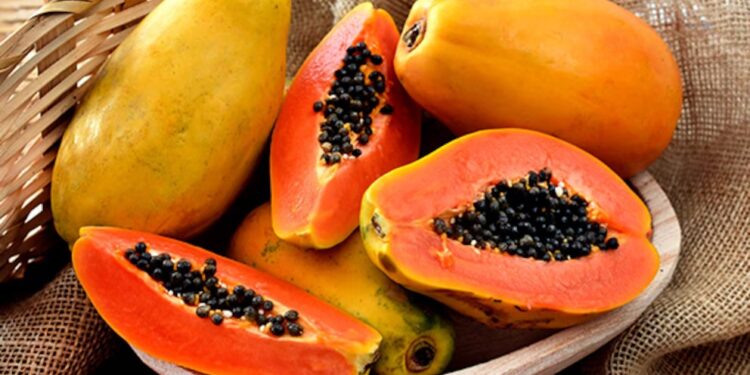 La papaya en riesgo: detectan virus que pone en alerta al sector productor
