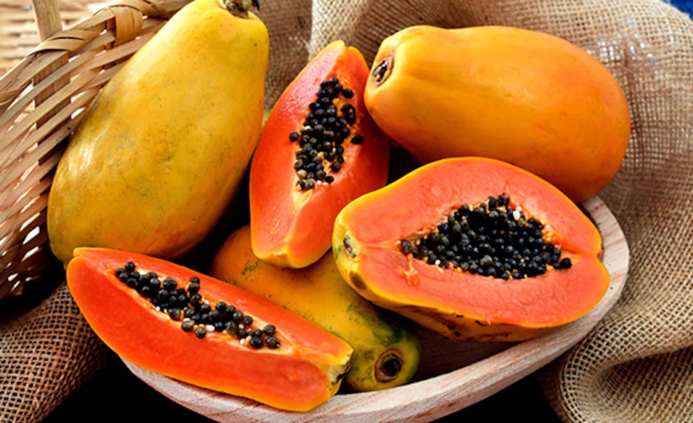 La papaya en riesgo: detectan virus que pone en alerta al sector productor