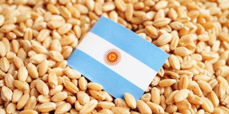 Exportaciones agrícolas y vigilancia fitosanitaria: un eje central en la protección de la producción argentina