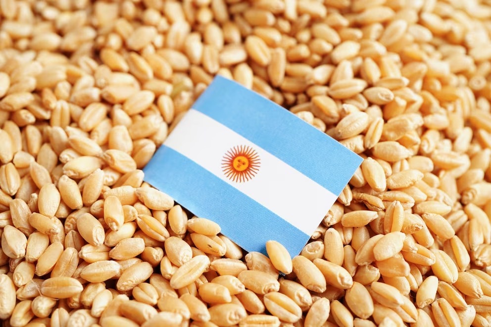 Exportaciones agrícolas y vigilancia fitosanitaria: un eje central en la protección de la producción argentina