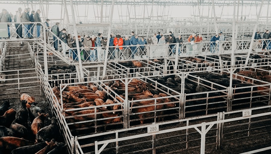 En la recta final de 2024, el precio de la hacienda sigue sin mostrar signos de reactivación