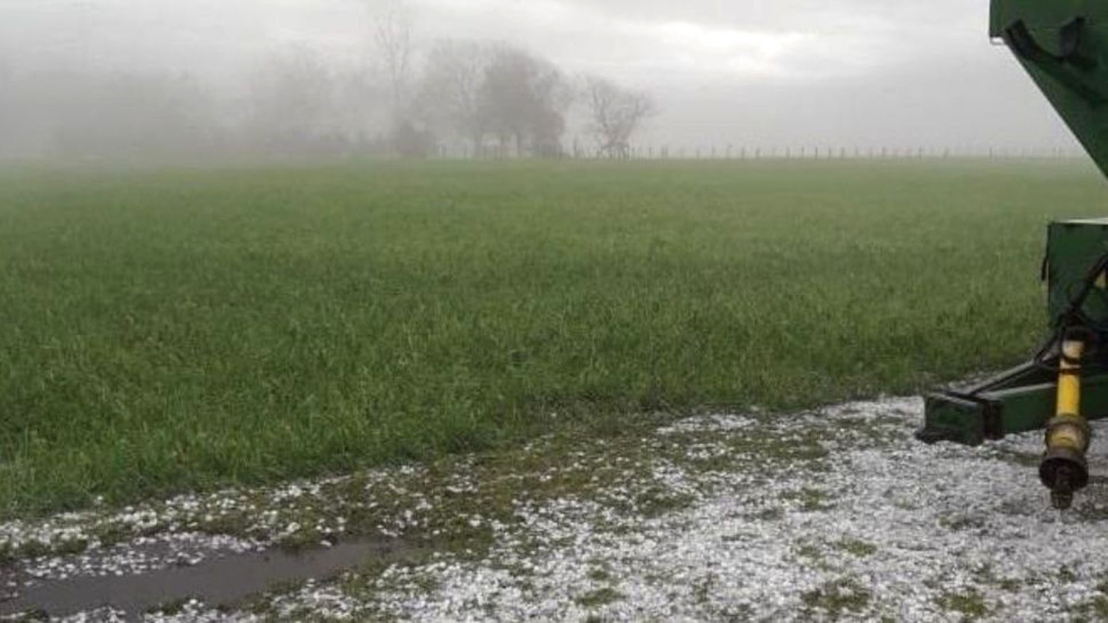 Condiciones climáticas para noviembre: Lo que los productores deben saber